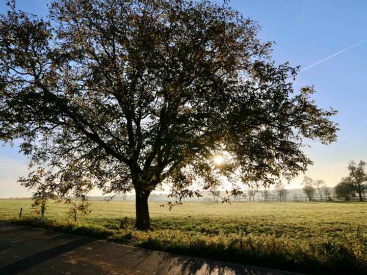 Selly Oak Park